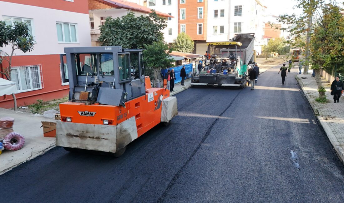 Giresun Belediyesi, şehirde ulaşımı