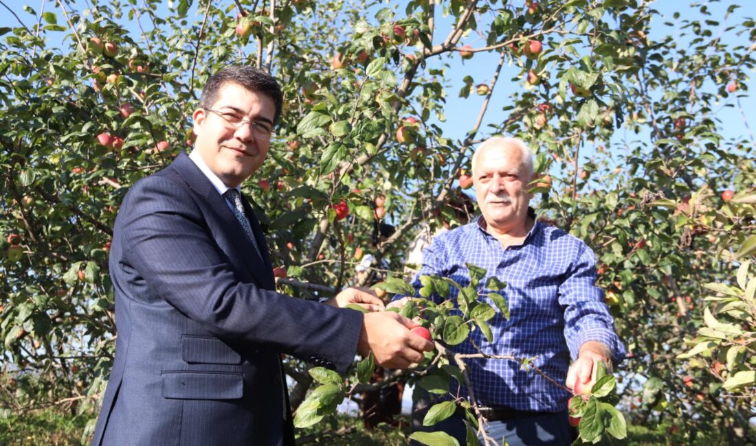 Giresun’un coğrafi işaretli ürünleri