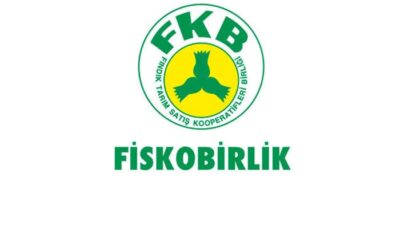 Fındık piyasasındaki dalgalanmalar sürerken, FİSKOBİRLİK Giresun kalite 50 randımanlı fındık