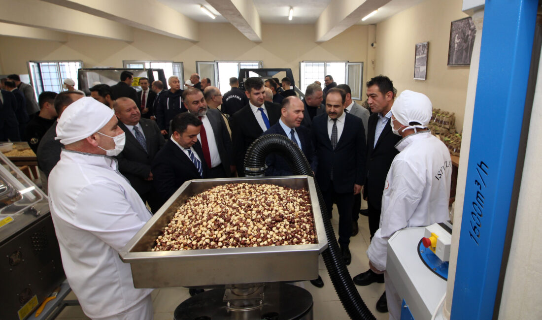 Giresun'un Espiye ilçesindeki L Tipi Kapalı ve Açık Ceza İnfaz