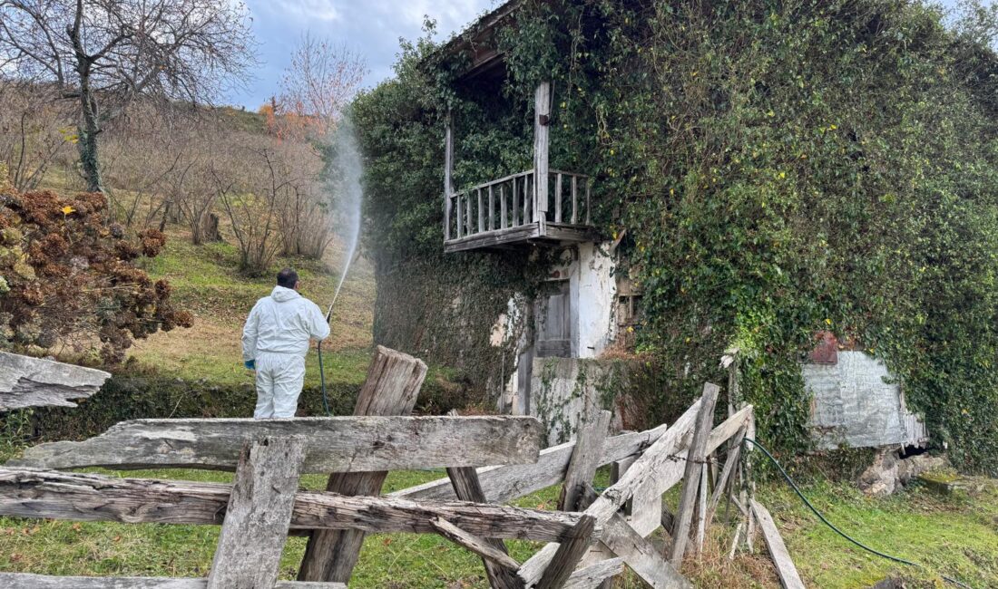 Bulancak’ta Kahverengi Kokarca ile Mücadele Sürüyor Saraçlı Mahallesi’nde İlaçlama Çalışmaları Tamamlandı Bulancak’ta, Kahverengi Kokarca zararlısına karşı