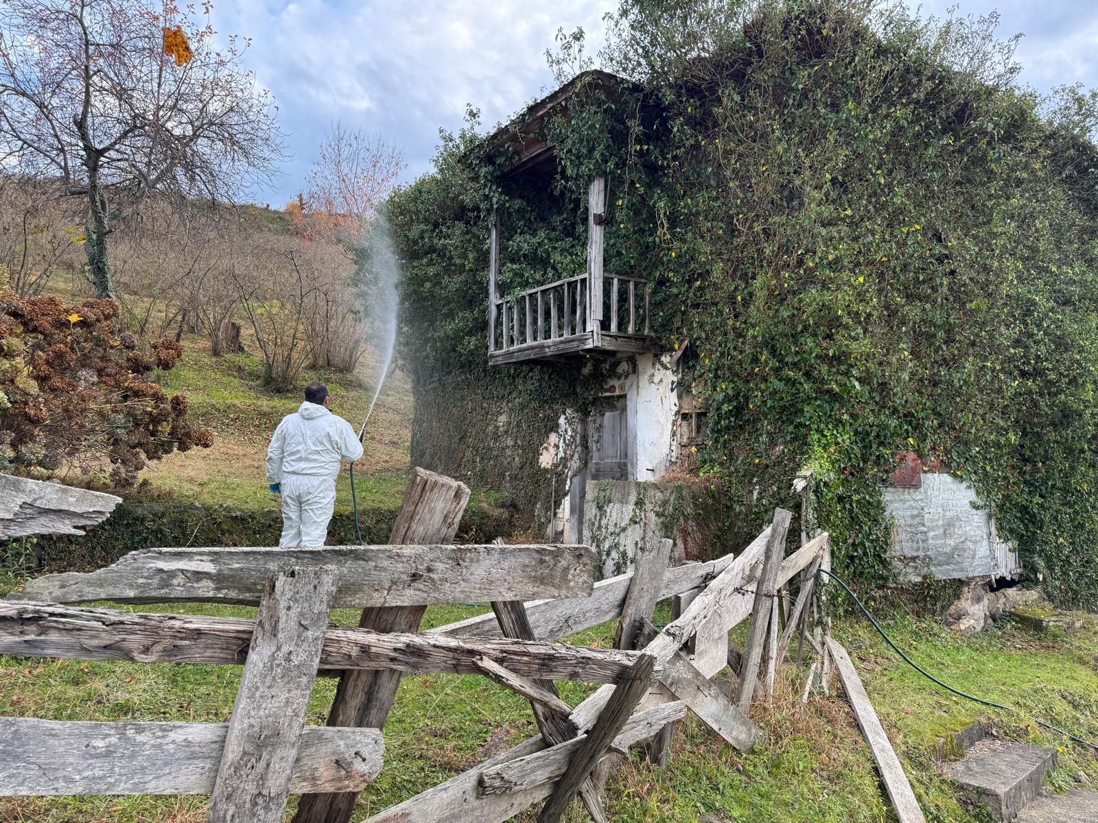 Saraçlı Mahallesi’nde İlaçlama Çalışmaları Tamamlandı Bulancak’ta, Kahverengi Kokarca zararlısına karşı