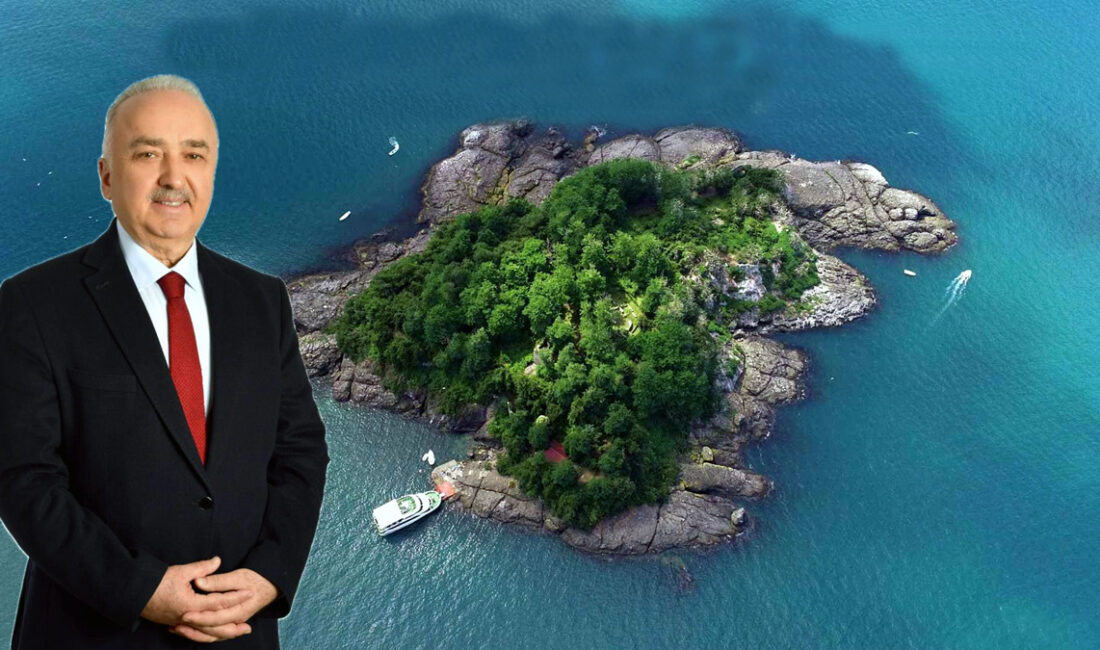 AK Parti Giresun Milletvekili ve TBMM Kamu İktisadi Teşebbüsleri Komisyonu