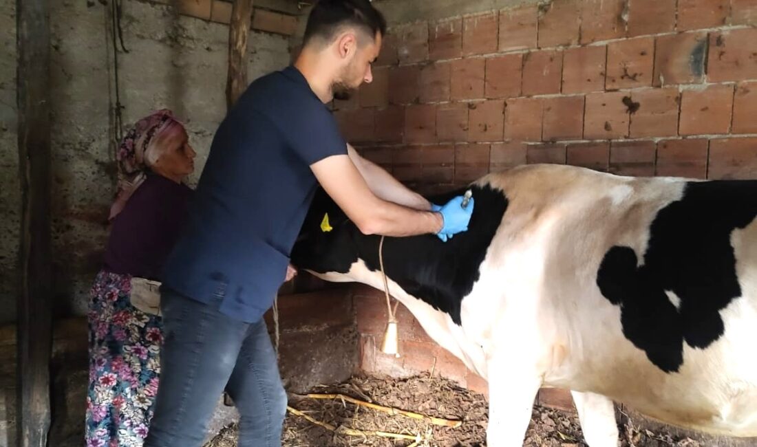 Aşı İle Önlemini Al, Hayvanlarını Koru!Giresun İl Tarım ve Orman