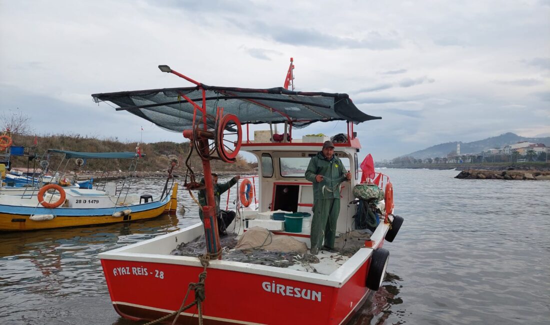 Tarım ve Orman Bakanlığı tarafından yürütülen Küçük Ölçekli Balıkçılığın Desteklenmesi