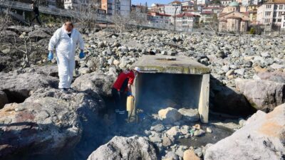 Giresun Belediyesi Veteriner İşleri Müdürlüğü, yaz aylarının yaklaşmasıyla birlikte şehir