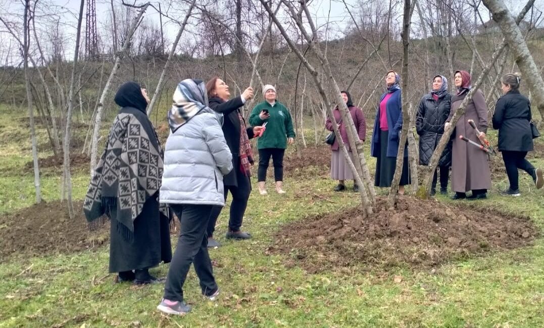 Giresun’da Verimi Artıracak Kursa Yoğun İlgi...