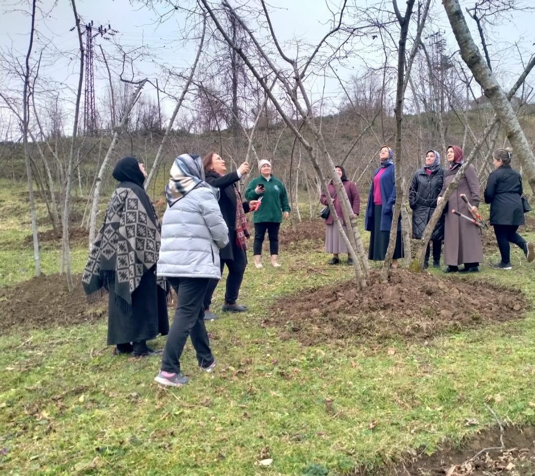 Giresun’da Verimi Artıracak Kursa Yoğun İlgi...