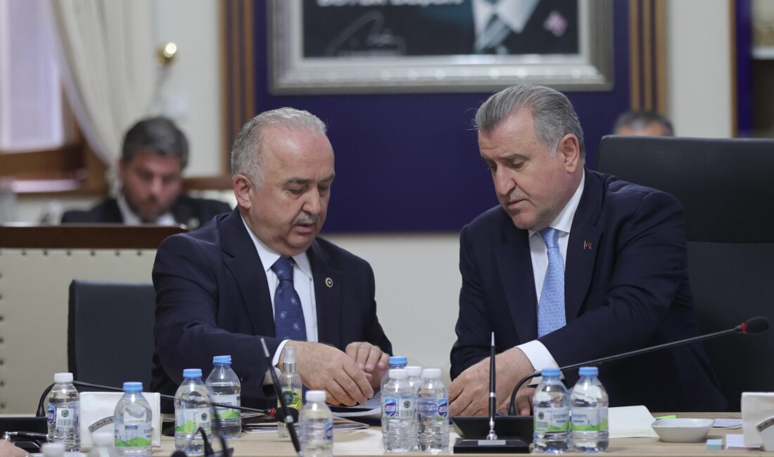 AK Parti Giresun Milletvekili Ali Temür, Gençlik ve Spor Bakanı