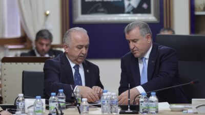 AK Parti Giresun Milletvekili Ali Temür, Gençlik ve Spor Bakanı