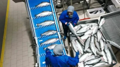  Samsun İl Tarım ve Orman Müdürü İbrahim Sağlam, 2025