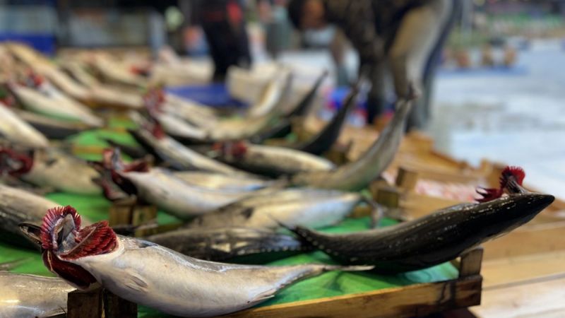 Tarım ve Orman Bakanlığı’nın yeni düzenlemesiyle küçük ölçekli balıkçılar için