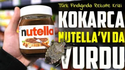 Nutella'nın üreticisi Ferrero, Türkiye'deki fındık fiyatlarındaki sert yükseliş ve rekolte