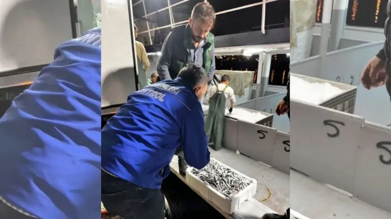 Giresun’da Hamsi Kotası Denetimleri Sıklaştı! Giresun İl Tarım ve Orman Müdürlüğü, denizlerdeki balık stoklarını korumak