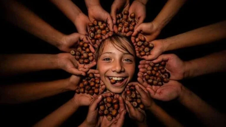 Yavuzkan Fındık 2. Ulusal Fındık ve Hasadı Fotoğraf Yarışması” Sonuçlandı Giresunlu fındık ihracatçısı Yavuzkan Hazel Gıda tarafından bu yıl ikincisi