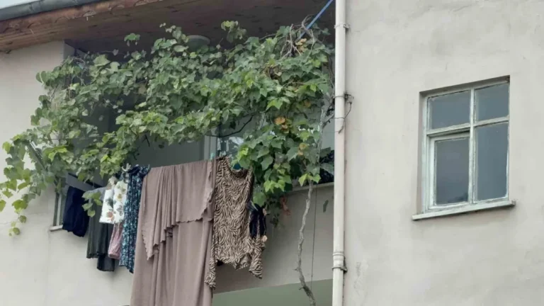 Samsun’da evde doğurduğu bebeği çöpe attığı iddiasıyla gözaltına alınan kadın