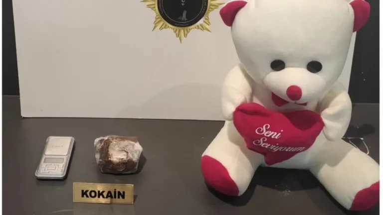 Oyuncak ayının içine gizlenmiş uyuşturucu ele geçirildi