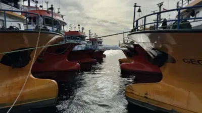 Karadeniz'de 1 Eylül'de başlayan hamsi avı sezonu, balıkçıların yüzünü güldürüyor.