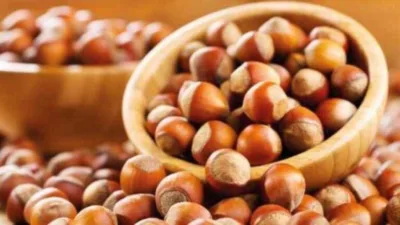 Türkiye İstatistik Kurumu (TÜİK), 2025 yılı Bitkisel Üretim 2. Tahmini'ni