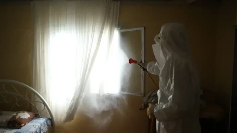 Fındıkta covid ile karşı karşıyayız! Fındıkta covid ile karşı karşıyayız!