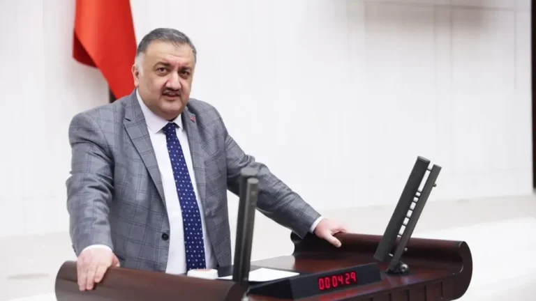 DEVA Partisi Genel Başkan Yardımcısı ve İstanbul Milletvekili Hasan Karal,