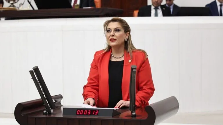 Gezmiş "Güney Çevre Yolu"nu kader projesi olarak nitelendirdi ve yolunun