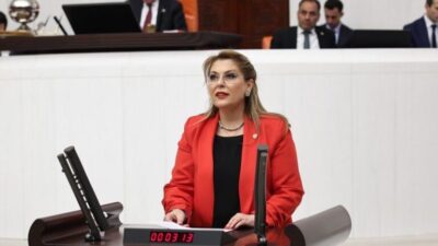 Cumhuriyet Halk Partisi (CHP) Giresun Milletvekili Elvan Işık Gezmiş, Türkiye