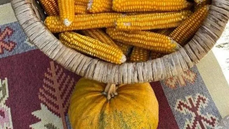 Giresun Kent Konseyi, atalık tohumların korunması ve gelecek nesillere aktarılması