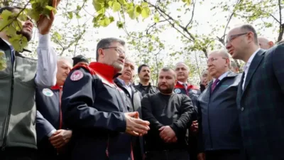 Giresun’da geçtiğimiz kış aylarında yaşanan zirai don felaketinin ardından, fındık