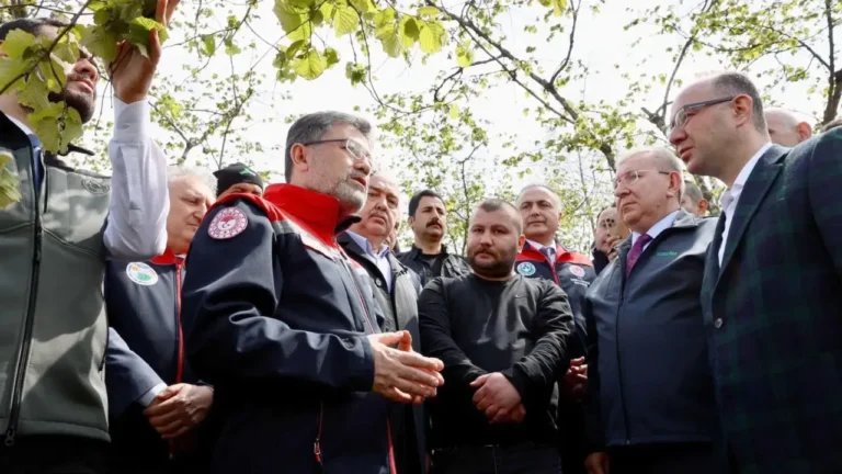 Giresun’da zirai don destekleri ödeniyor!