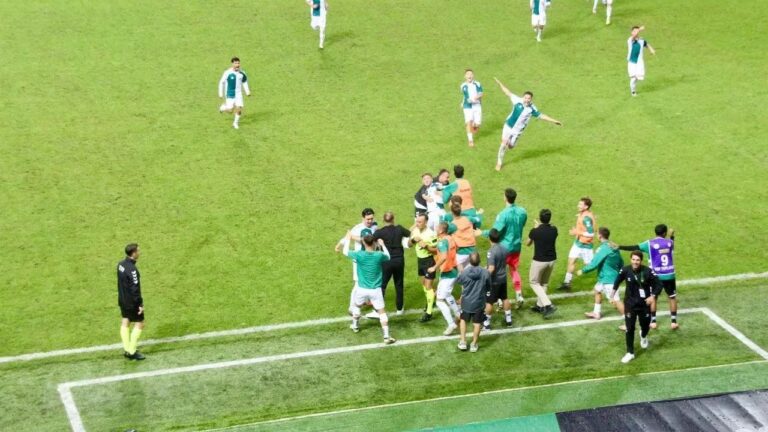 Türkiye Futbol Federasyonu ( TFF) Profesyonel Futbol Disiplin Kurulu (