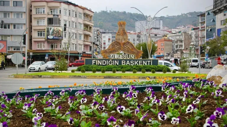 Giresun Belediyesi, şehirdeki kavşakları ve yeşil alanları mevsimlik çiçeklerle donatarak