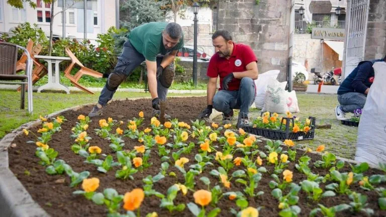 Giresun Belediyesi, şehir genelindeki peyzaj çalışmaları kapsamında Atatürk Meydanı ve