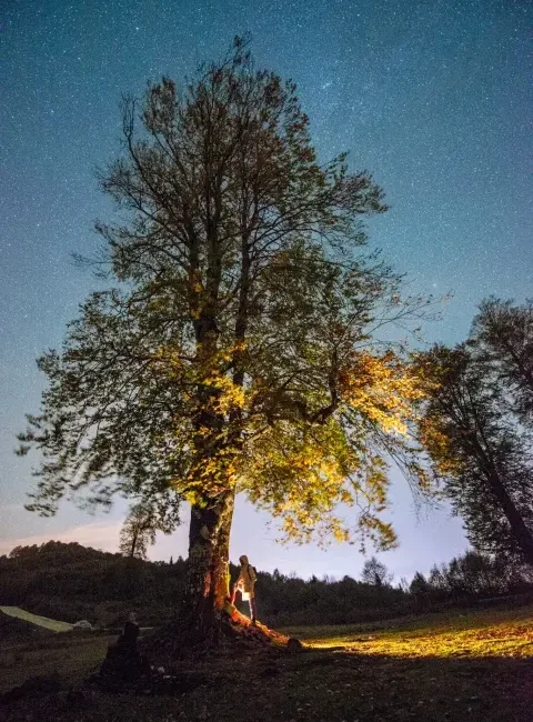 Giresun’da Hem Kuyruklu Yıldız Hem Gök Taşı Yağmuru Karadeniz Ekibi, C/2025 Lemmon Kuyruklu Yıldızı ve Orionid Gök Taşı