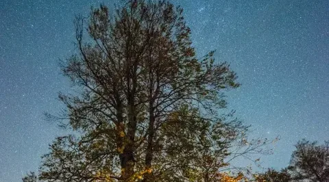 Giresun'da Hem Kuyruklu Yıldız Hem Gök Taşı Yağmuru