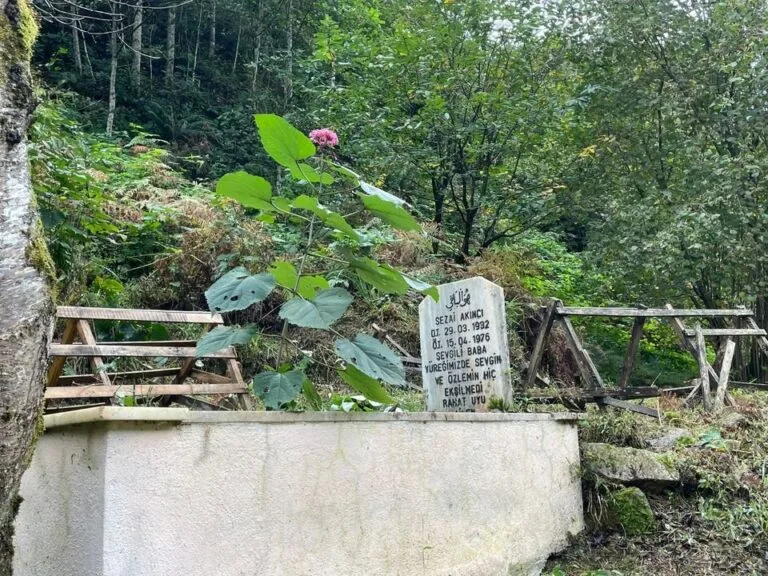Karadeniz’deki mezarlar taşınıyor