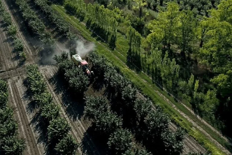 Küresel fındık devi Ferrero, tedarik zincirini güçlendirmek ve çeşitlendirmek amacıyla