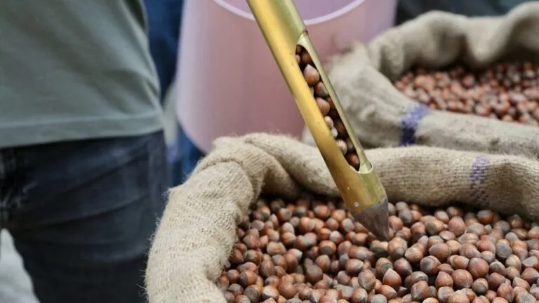 Fındık arzı bıçak gibi kesildi!