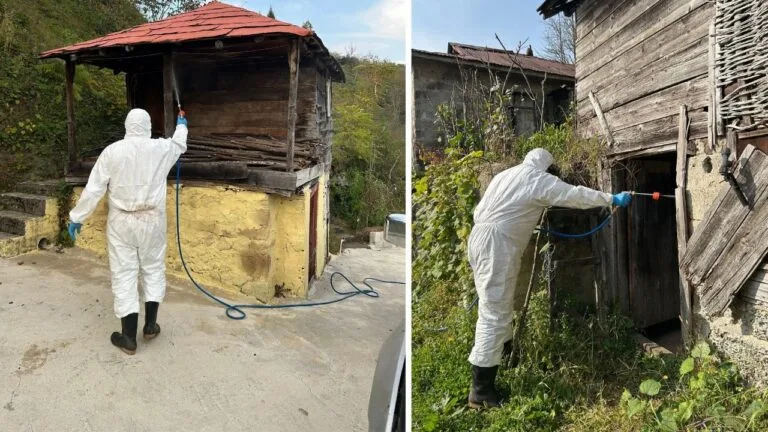 Sonbaharla birlikte kapalı alanlara çekilen Kahverengi Kokarca böcekleriyle mücadele hız