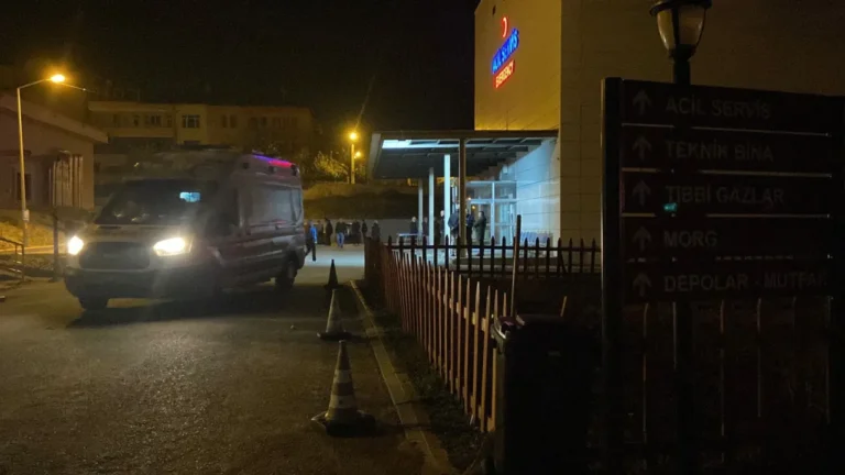 Kastamonu'nun Taşköprü ilçesine bağlı Kuyluş köyünde baba Hüseyin Ç., tartıştığı