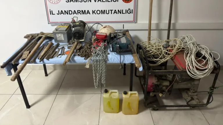 Samsun'un Alaçam ilçesinde jandarma ekipleri, izinsiz kazı yaptıkları belirlenen 4