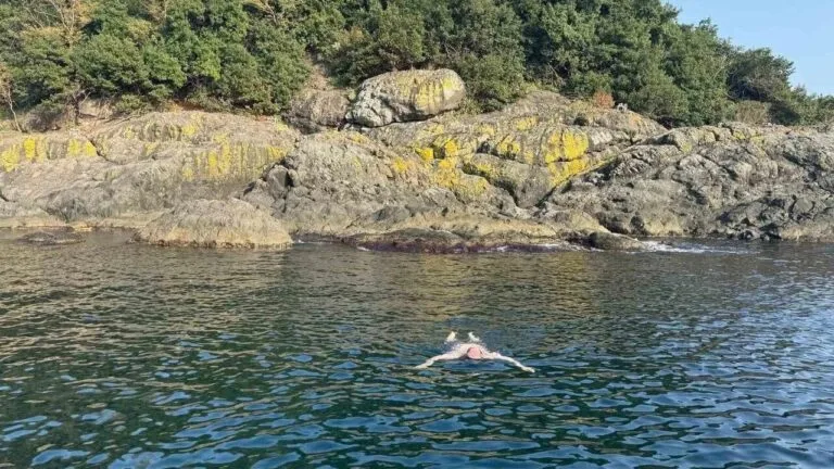 Giresun Valisi Mehmet Fatih Serdengeçti, mevsim normallerinin üzerinde seyreden havayı