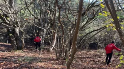 Bolu'nun Alpagut Mahallesi'nde mantar toplamak için evden ayrılan 88 yaşındaki