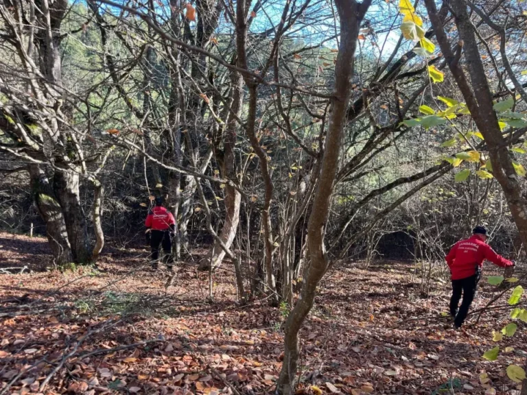 Bolu'nun Alpagut Mahallesi'nde mantar toplamak için evden ayrılan 88 yaşındaki