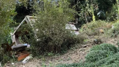 Giresun'un Keşap ilçesinde bir serentinin taşınması sırasında meydana gelen talihsiz