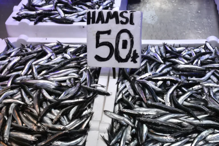 Trabzon'daki balıkçı tezgahları, bol miktarda avlanan hamsi ile şenlendi. Kilogramı