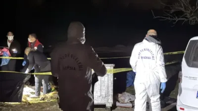 Samsun'un İlkadım ilçesinde bir çöp kovasında 9 ölü köpek bulunması