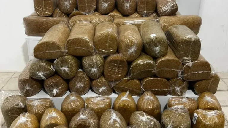 Samsun'da düzenlenen operasyonda, bir minibüste 290 kilogram kaçak tütün ele