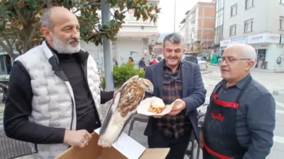 Amasya'nın Taşova ilçesinde yol kenarında yaralı bulunan kızıl şahin, duyarlı
