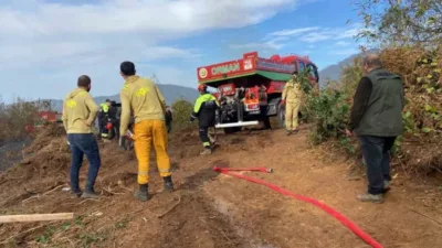 Artvin'in Hopa ilçesinde Yoldere ve Başoba köyleri arasında çıkan orman